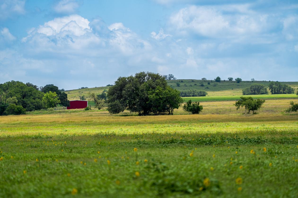 Equestrian Property On the Texas Wine Trail - photo 24