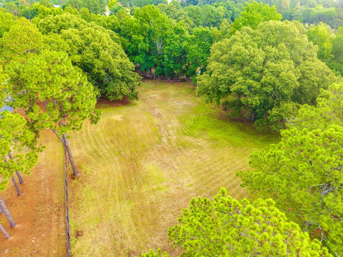 Welcome to Fox Path Farm - photo 20