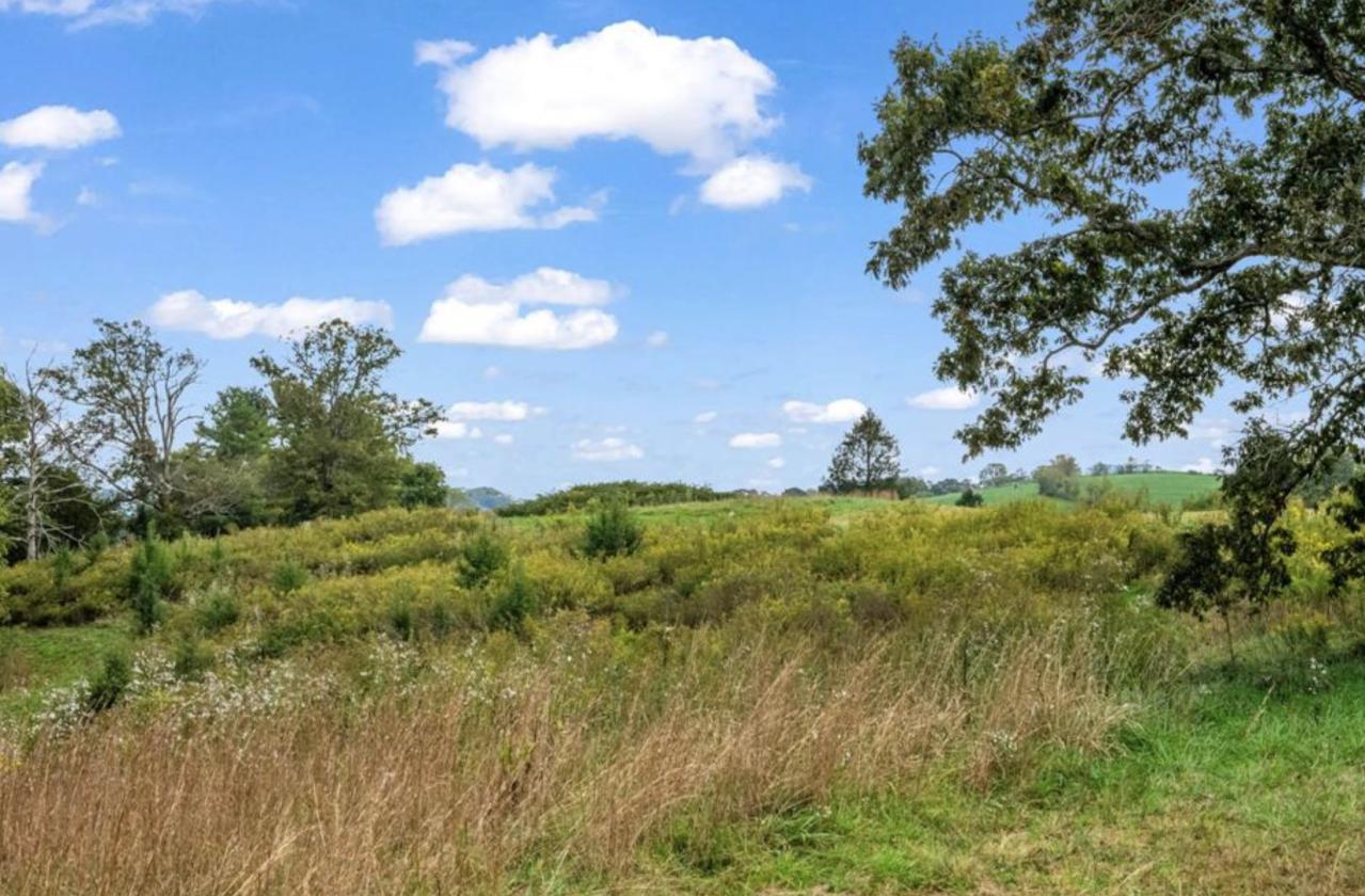 Nearly 50 Acres, Close to Asheville - photo 14