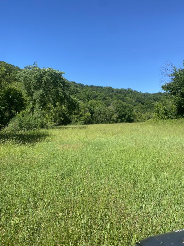 Deep River Farm - photo 14