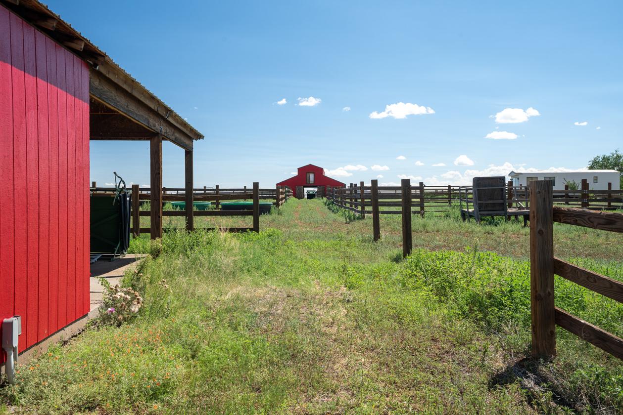 36 Acre Horse Ranch in the Wt. Mtns. of ARIZONA - photo 13