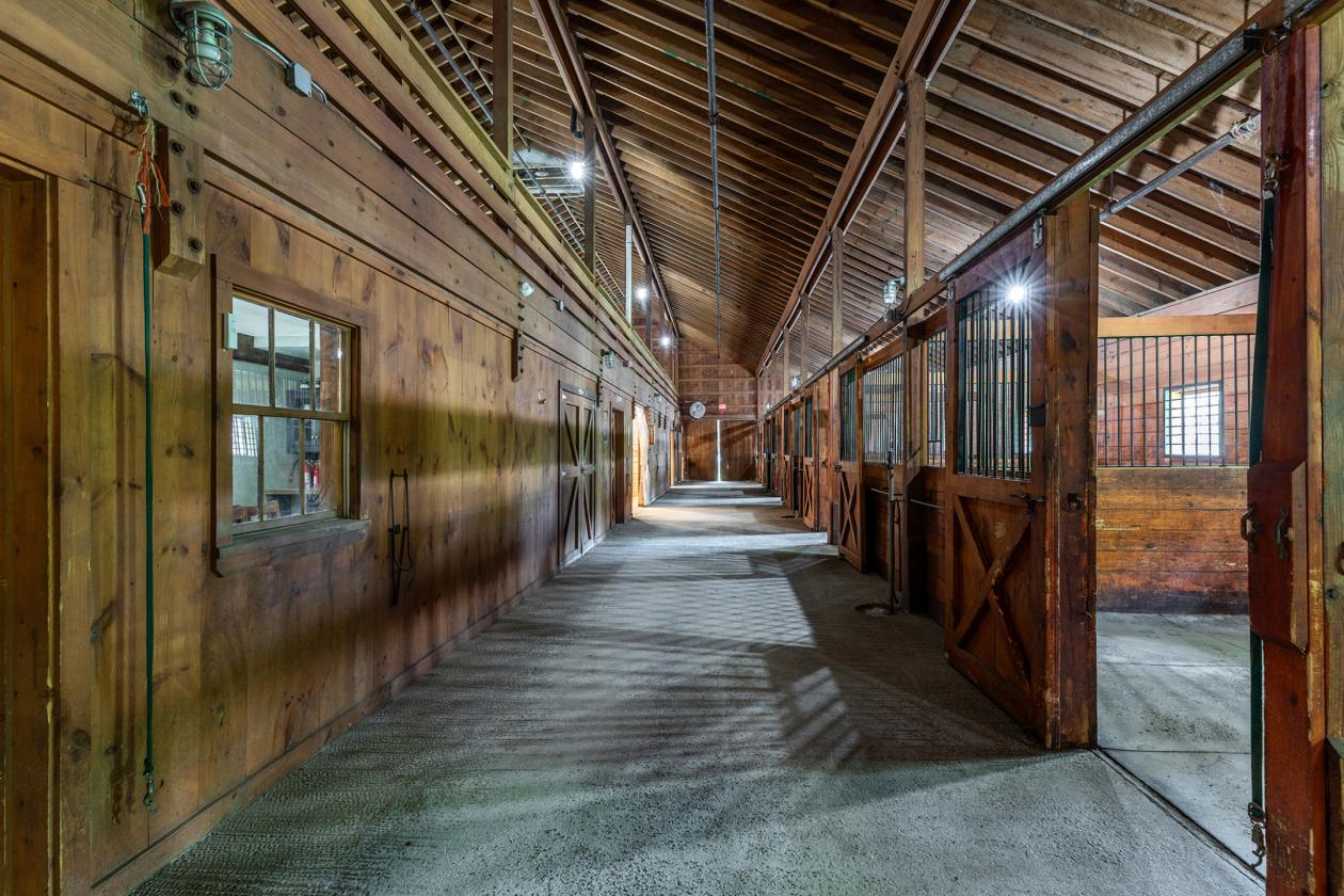 Second Act Farm - photo 9