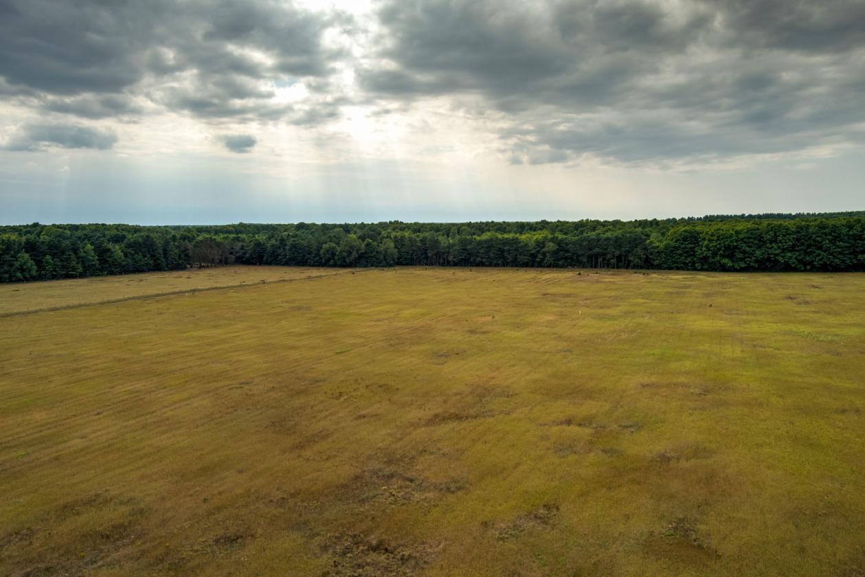 50.20 ACRES – BUILD YOUR EQUESTRIAN ESTATE & FARM - photo 16