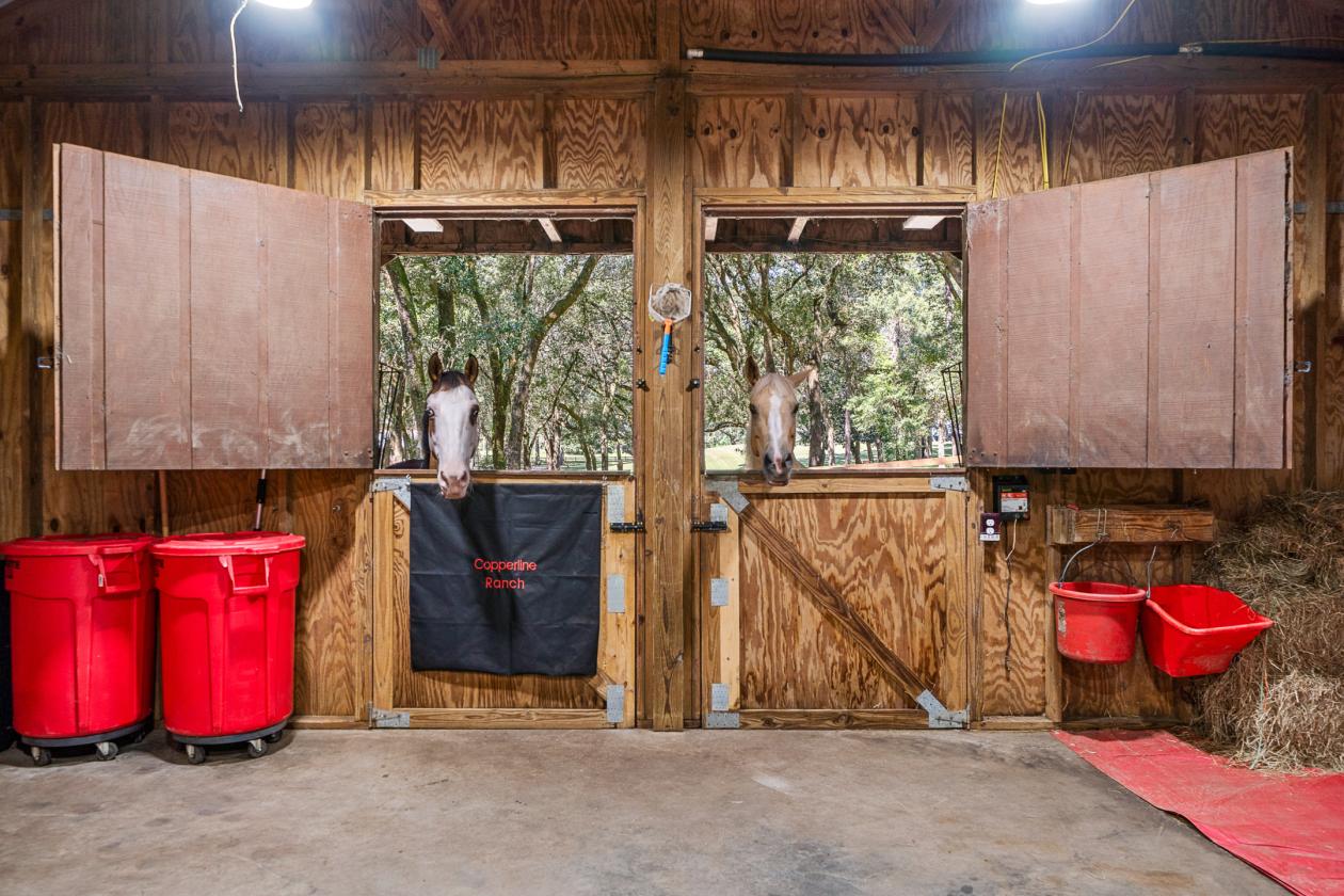Coastal AL - French Country Estate 10+ Acres & Horses - photo 28