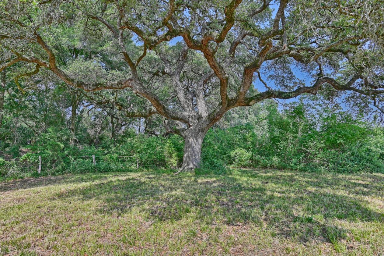 High Point Ranch - photo 18
