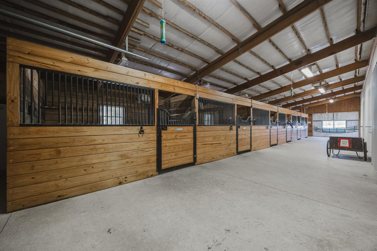 Exceptional equestrian estate on 18+ acres! - photo 23