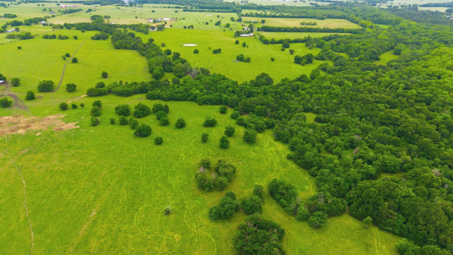 194 ACRE BREATHTAKING RANCH - photo 16