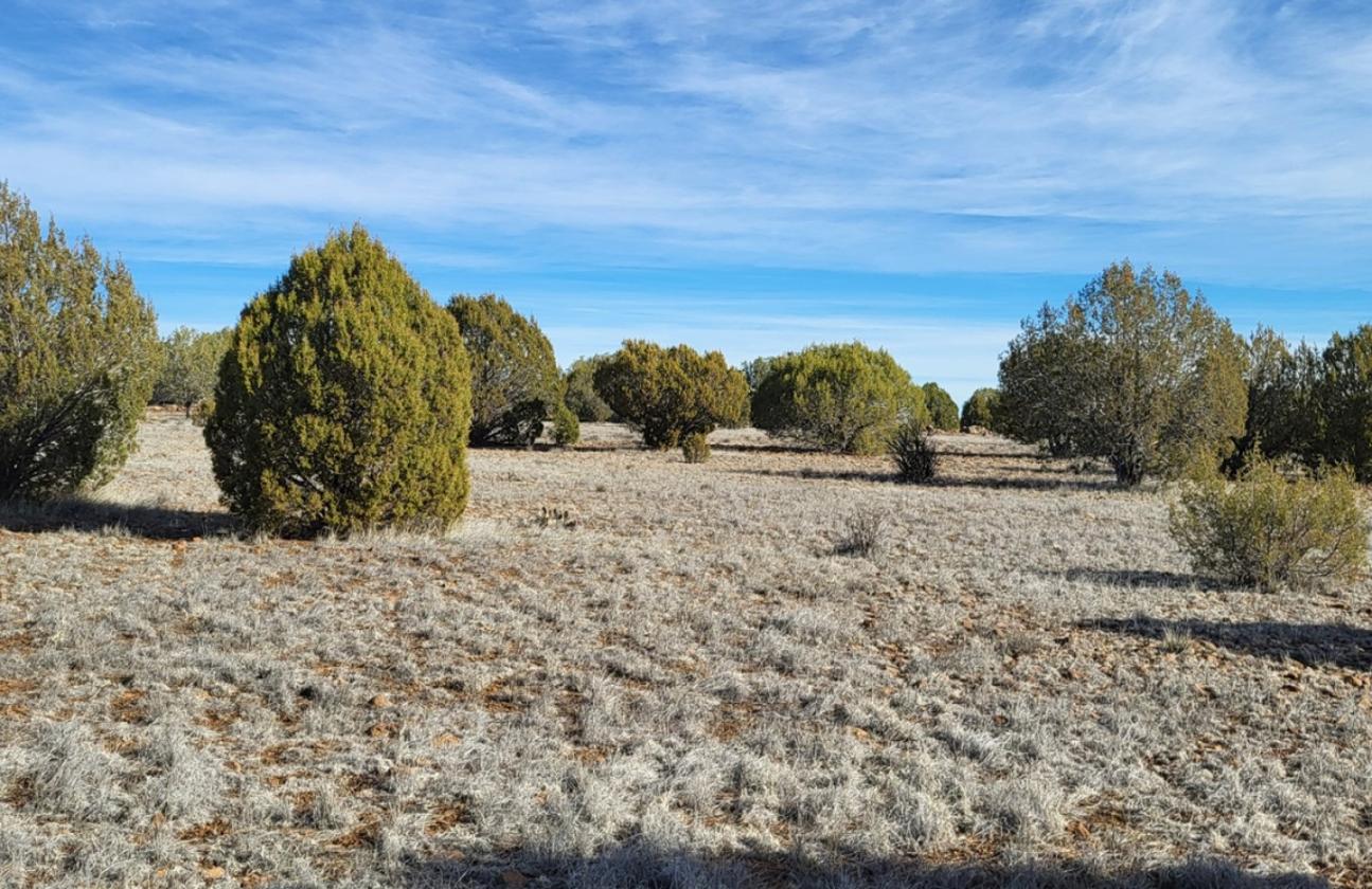 Ranch Ready - Northern AZ - 47.2 Acres - Fenced - photo 18