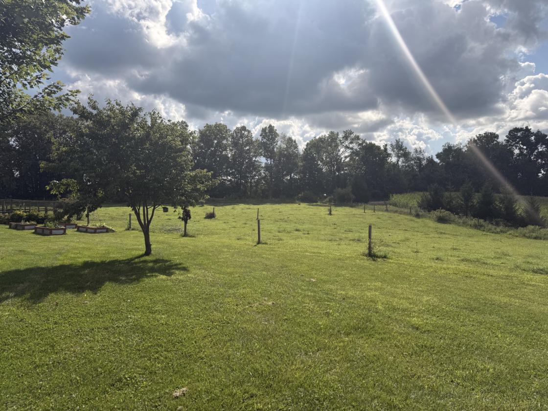 Secluded 18-Acre Hobby Farm & Horse Property - photo 4
