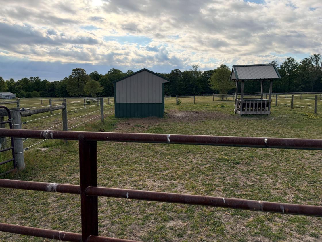 Turnkey Equestrian Estate on 10.9 Acres - photo 9
