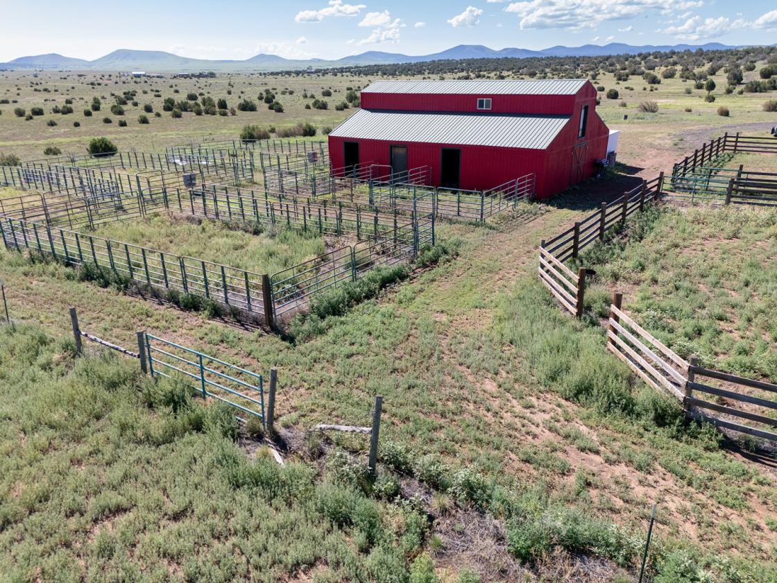 36 Acre Horse Ranch in the Wt. Mtns. of ARIZONA - photo 15
