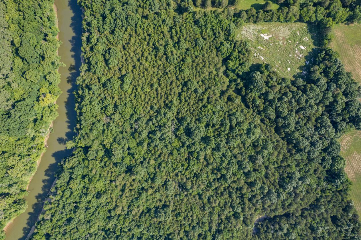 G&G Stables: 18+ acre Horse Facility - photo 29