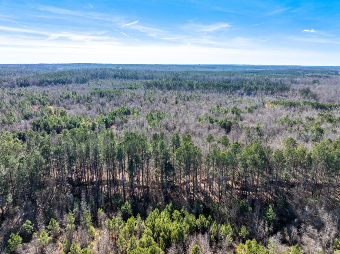 211 Acres- Luxury Estate & Equestrian Development - photo 17