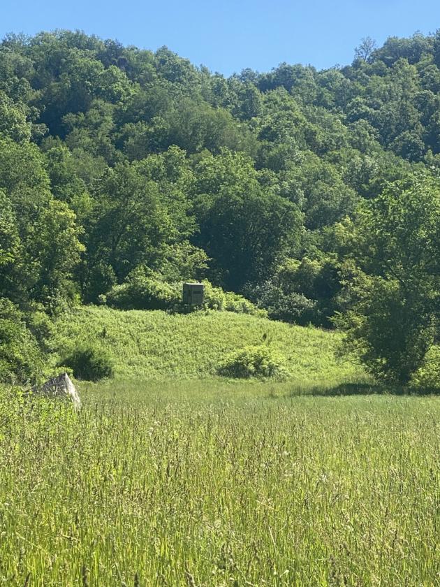 Deep River Farm - photo 25