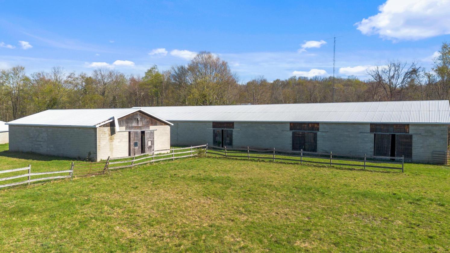 Horse rehabilitation center - photo 2
