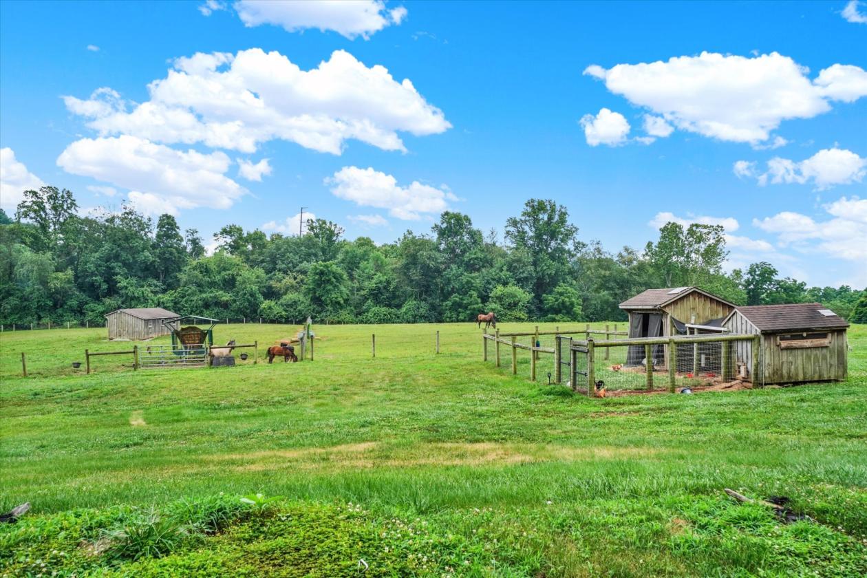 Luxury Equestrian estate on 25+ Acres - photo 15