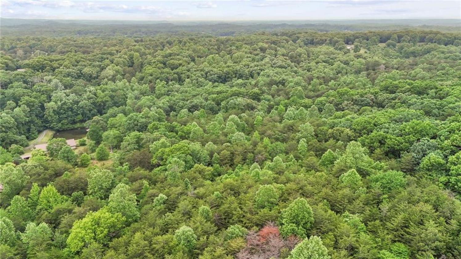 78.93 Acres Makes a Perfect Horse Farm Estate - photo 3