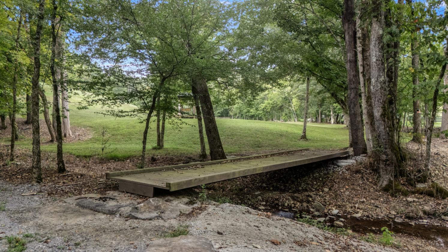 Trail Riding Dreams and privacy galore!! - photo 2