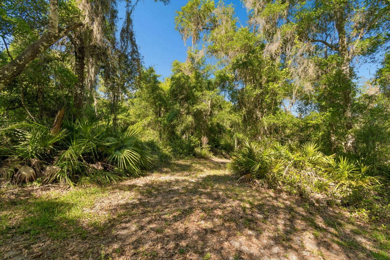 17 acre horse farm HIGH AND DRY with arena & barn - photo 24