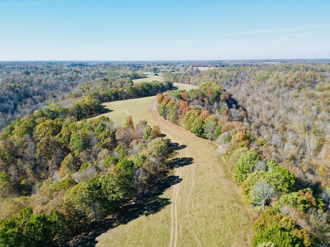 252 ACRES M/L NEAR LAKE CUMBERLAND - photo 3