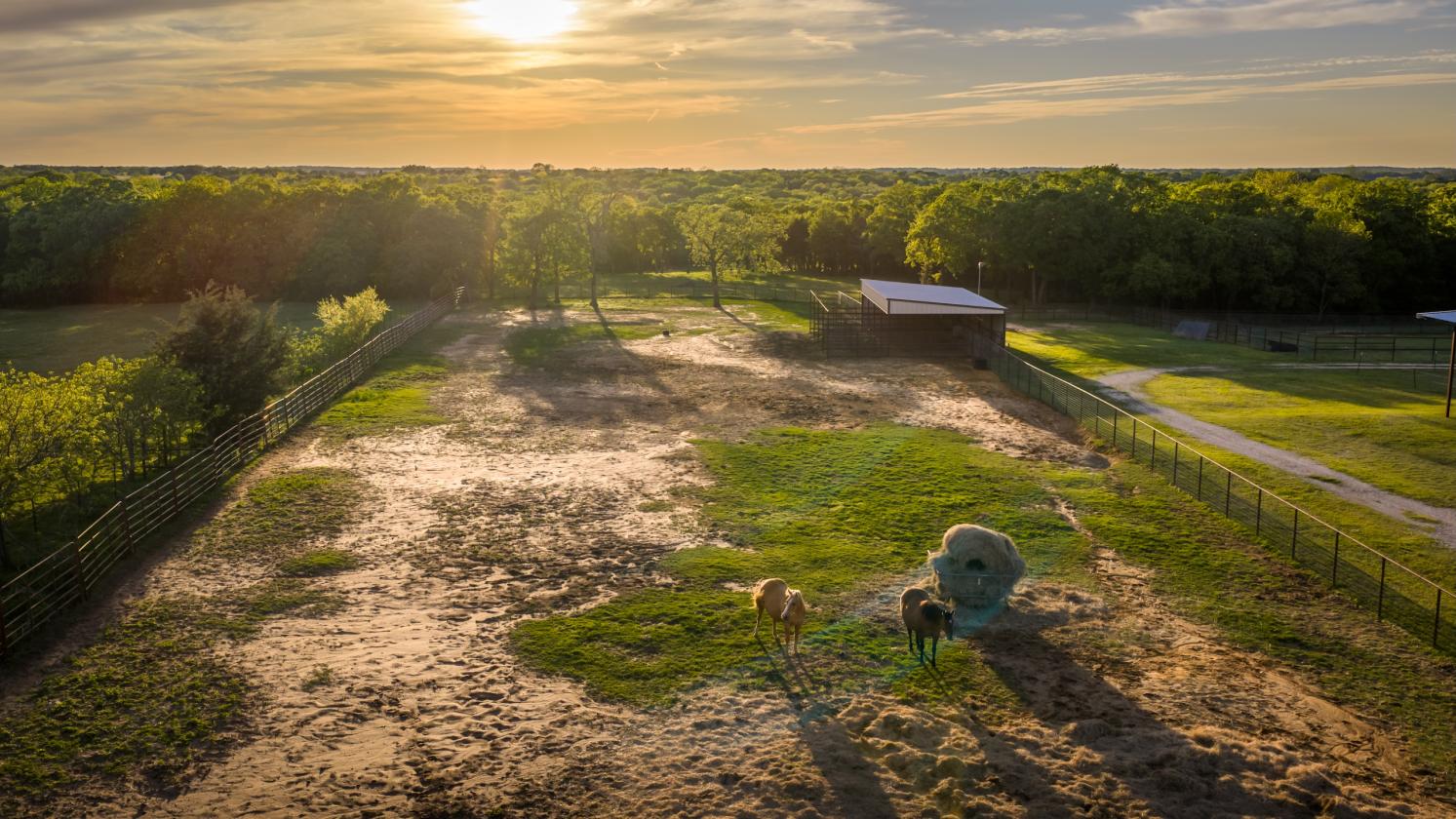 Spirit Ranch - Luxury NTX Equestrian Estate - photo 23