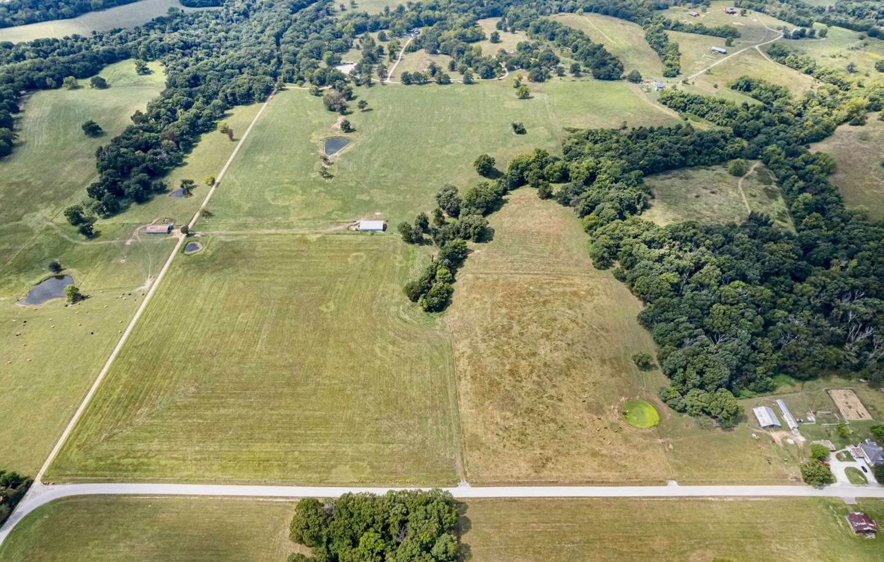 206 beautiful mostly level land - photo 25
