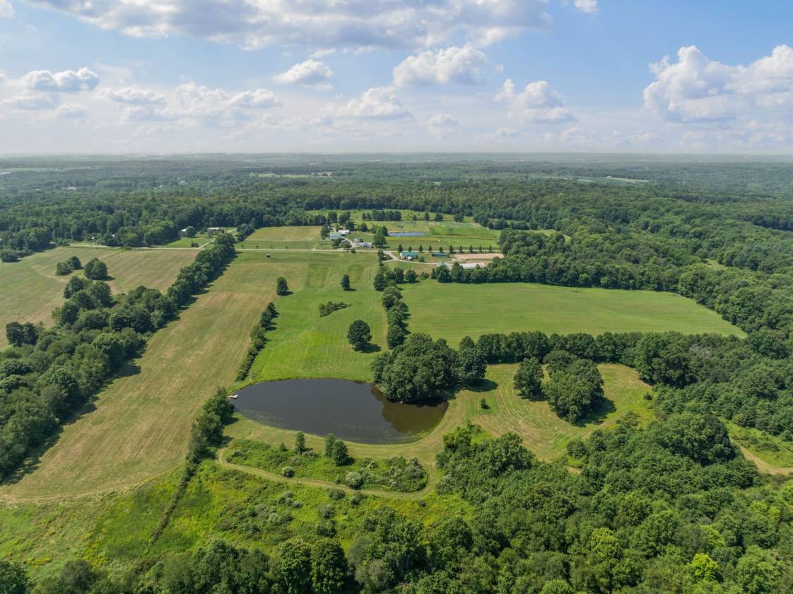 Horse Property for sale.