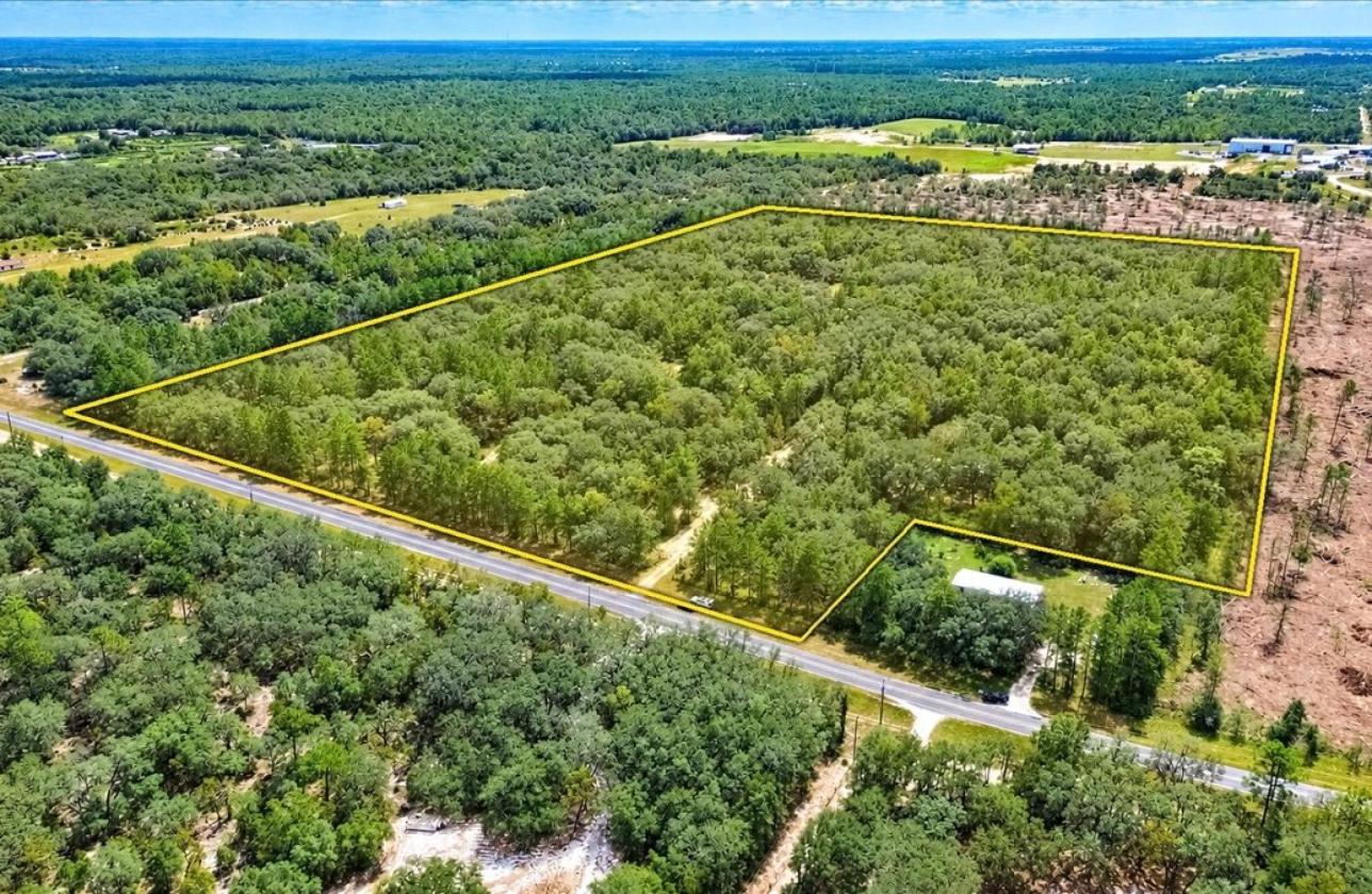32 ACRES IN LEVY COUNTY NEAR WILLISTON - photo 20