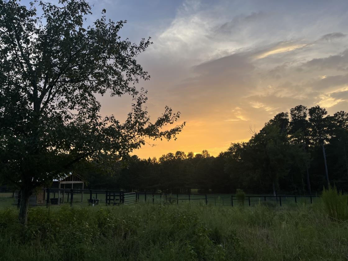 Turnkey Equestrian Property on 11+ Acres - photo 29