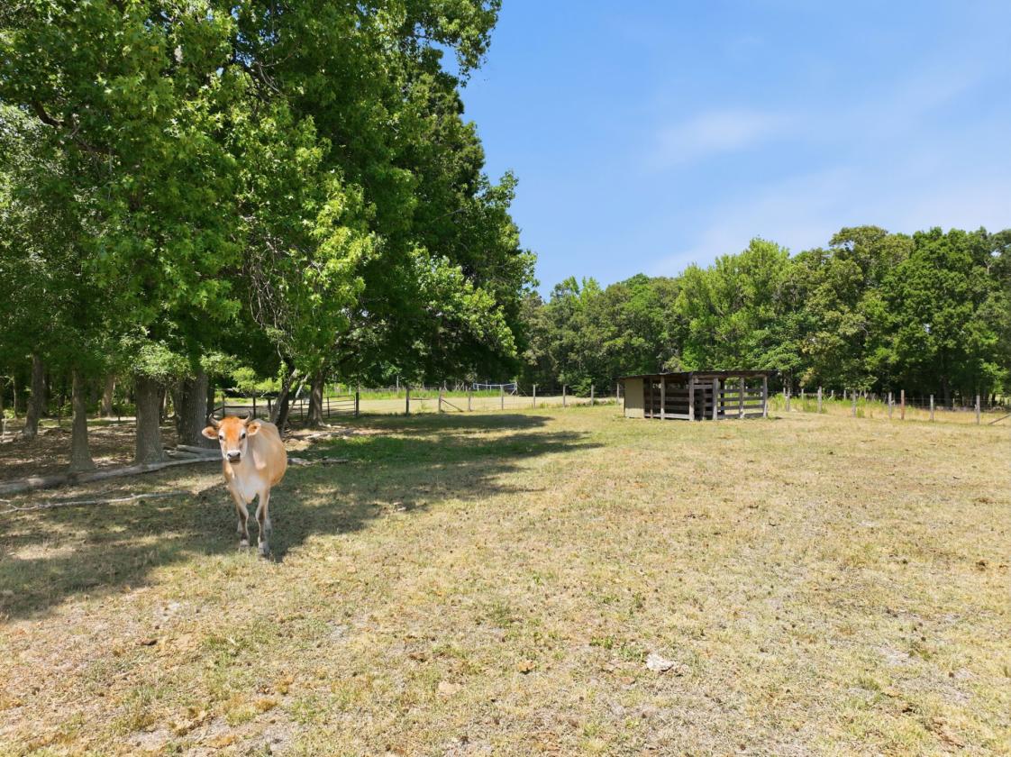 Hobby farm - photo 30