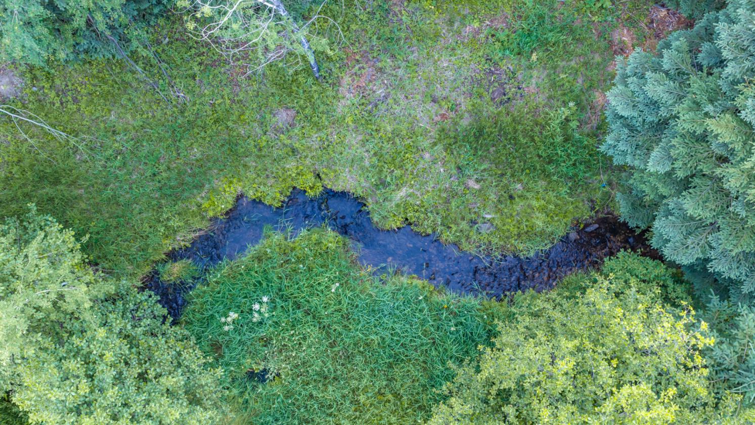 Wild Bill Creek Enclave - photo 16
