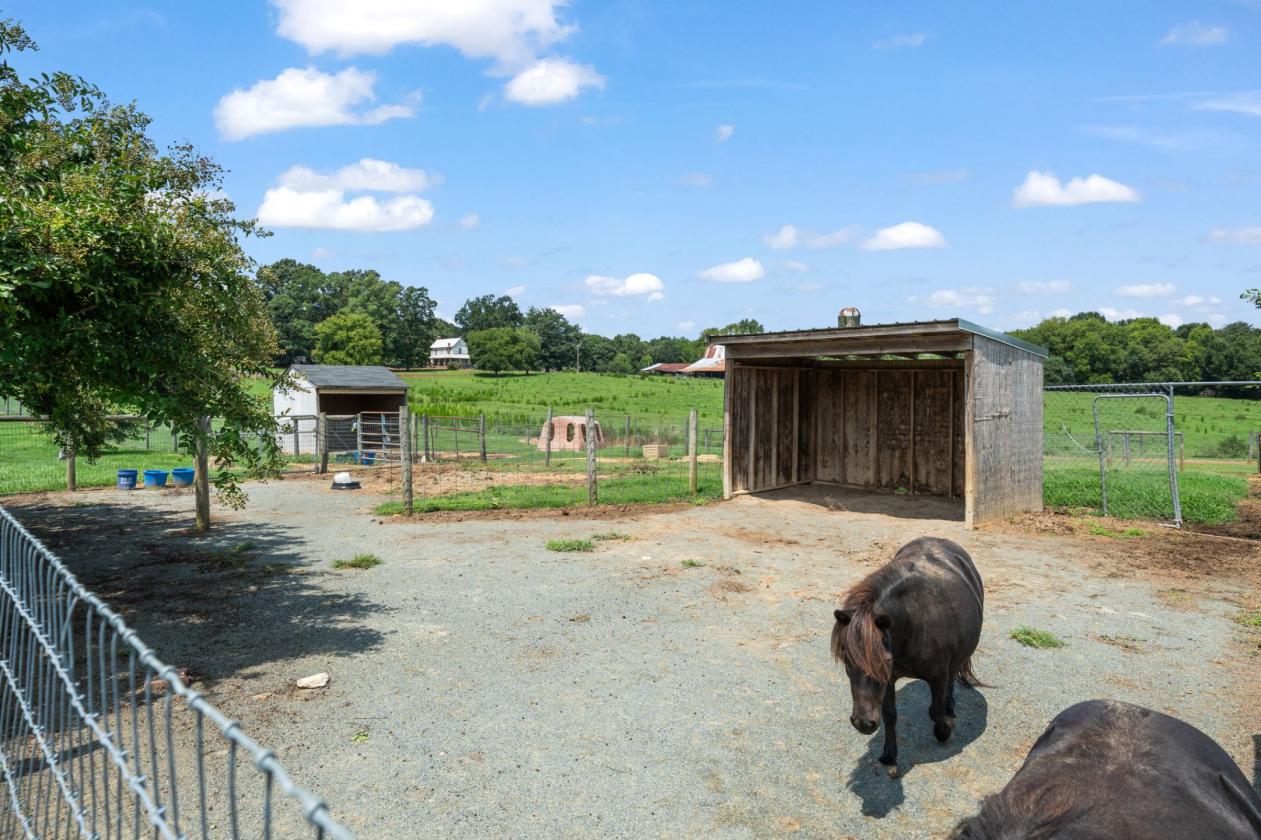 NEW PRICE!!  Equestrian Farm on Over 7 Acres - photo 6