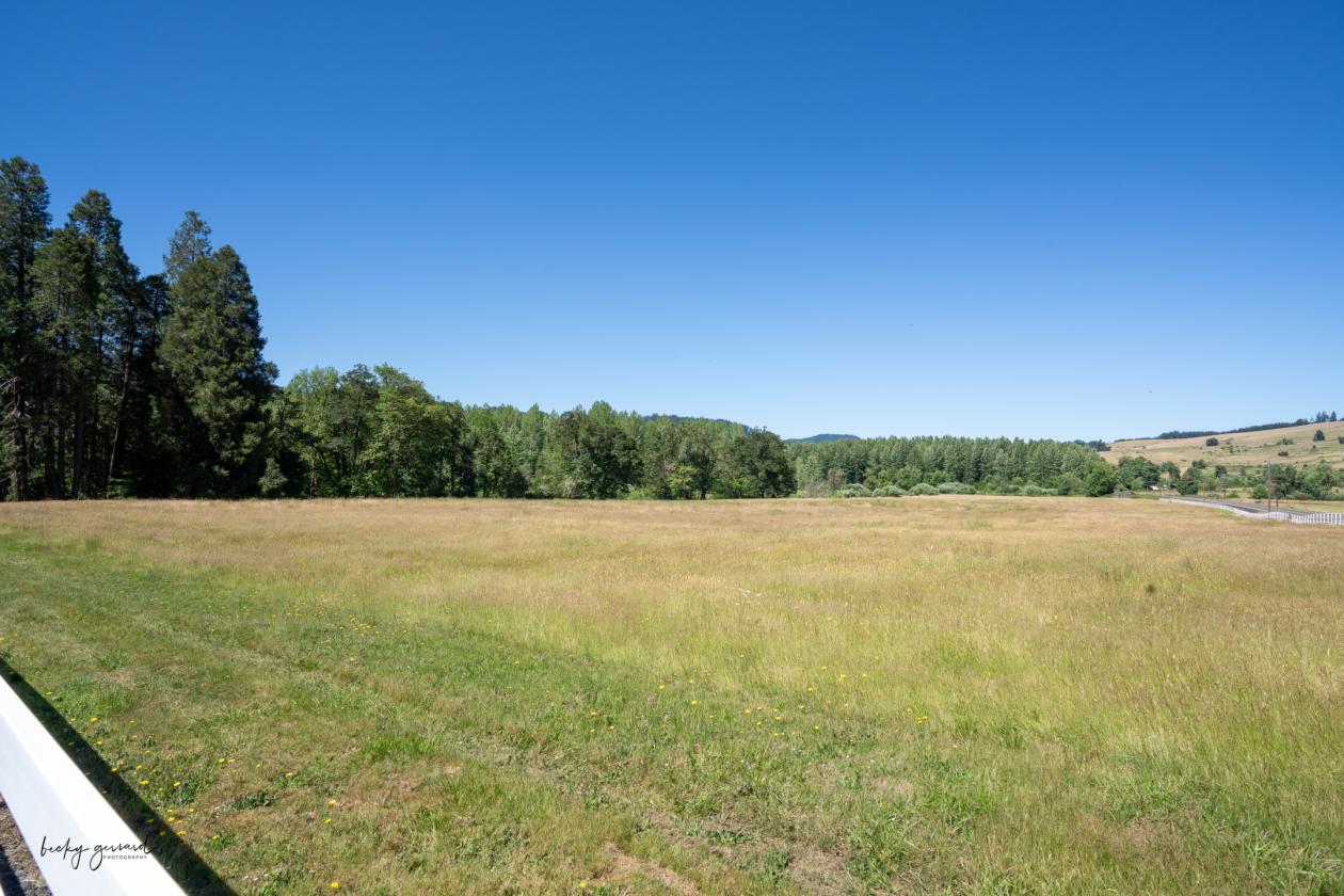 Equine and River in One Package - photo 30