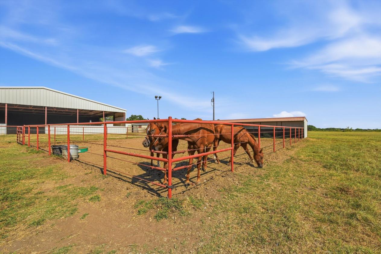 Peaceful Country Living on 15 Acres - photo 30