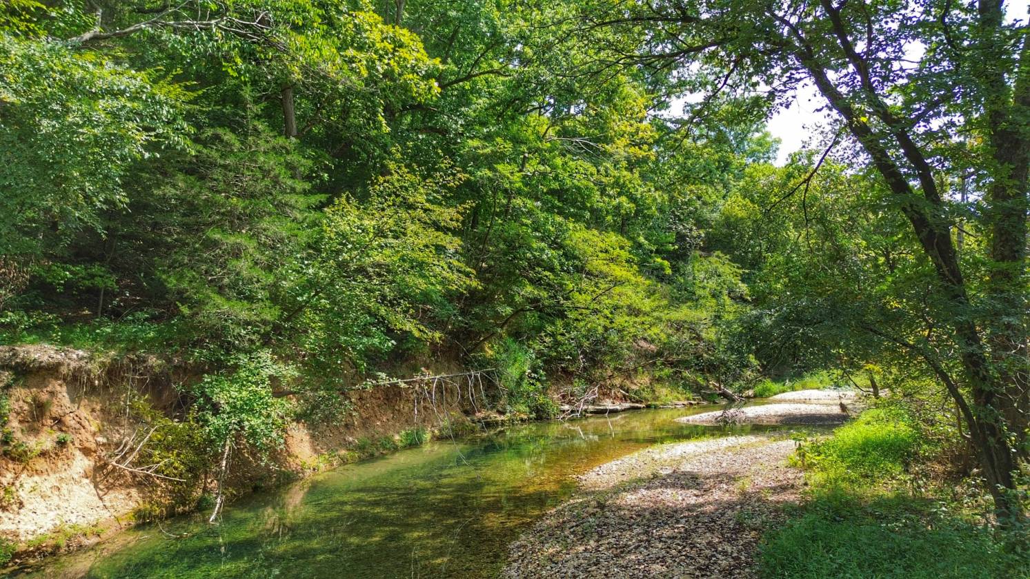 Legacy Northwest Arkansas Acreage - photo 12