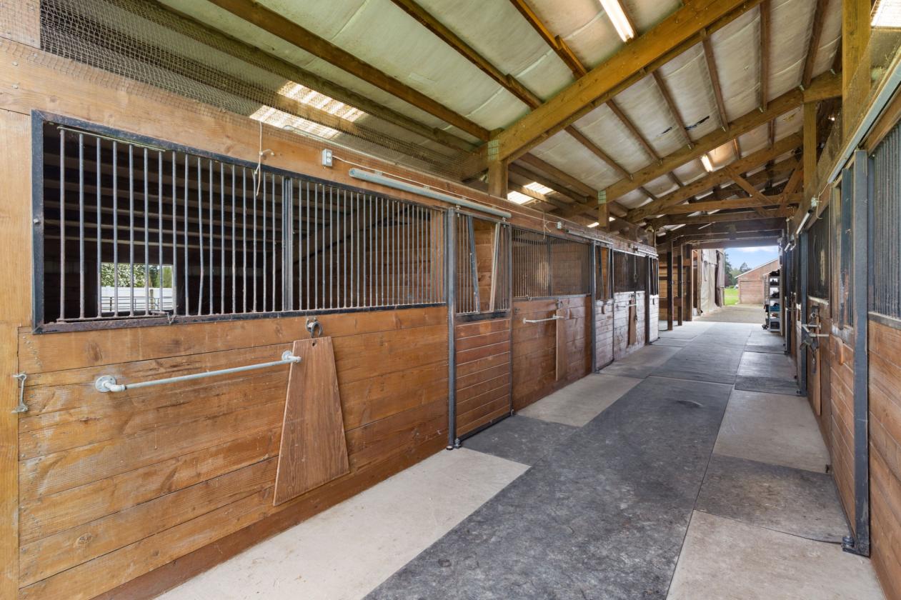 Practical Equestrian - Covered & Outdoor Arena - photo 11