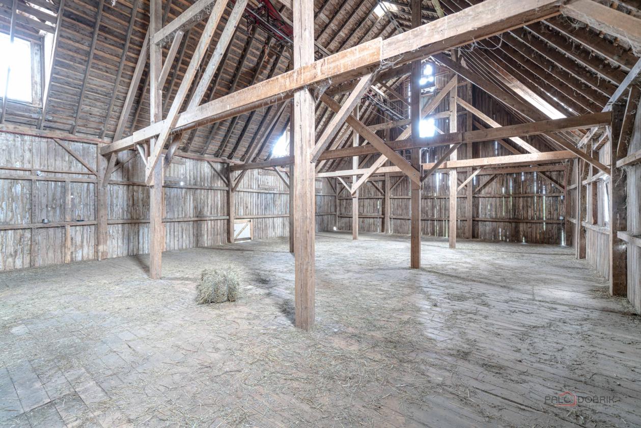 81 Stall Equestrian Facility in Lake County - photo 21