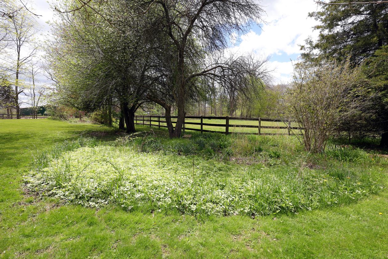 Perfect small horse farm with fenced pastures - photo 17