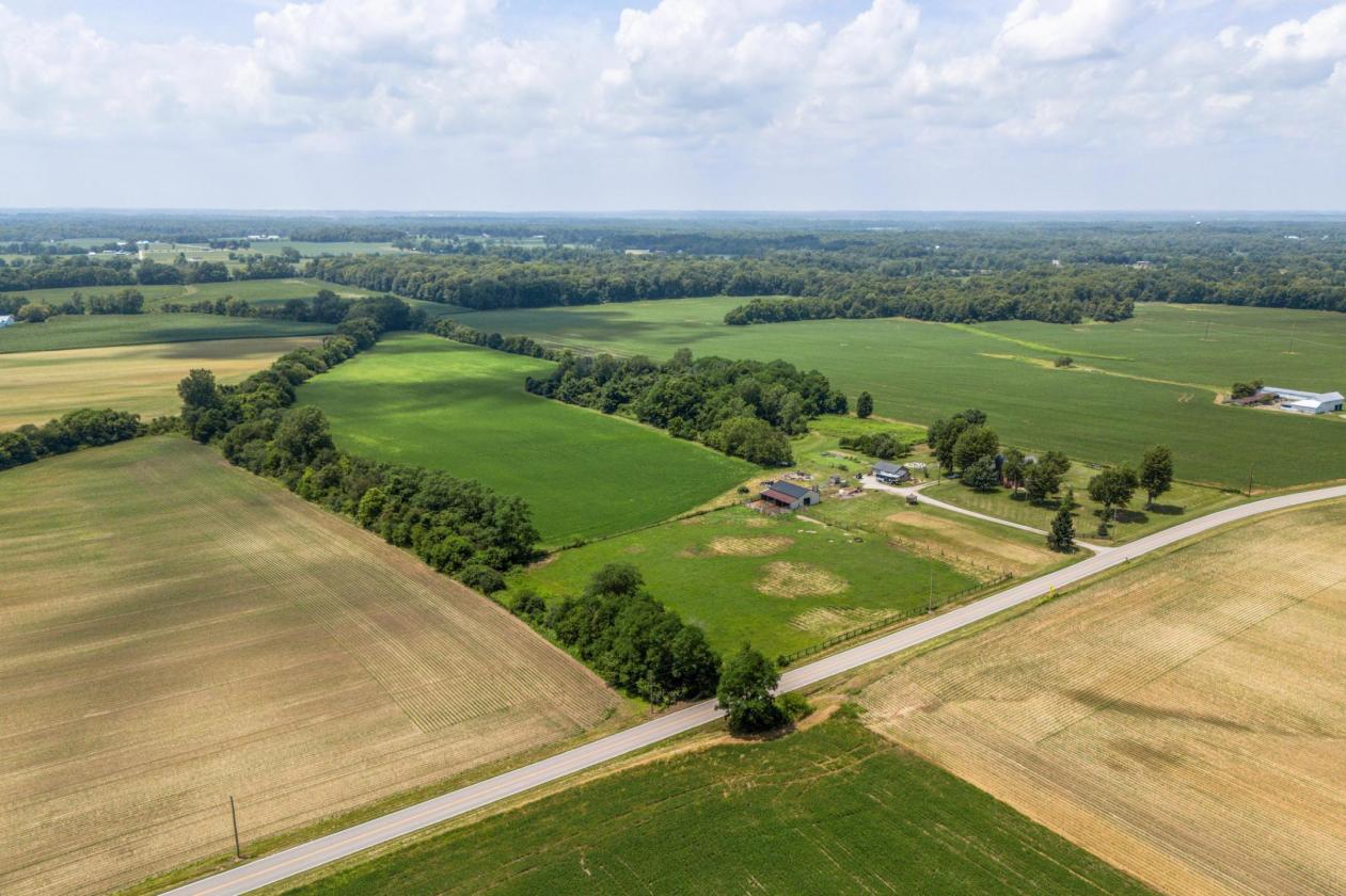 Bring The Horses!  Enjoy this farm on 30.8 acres - photo 14