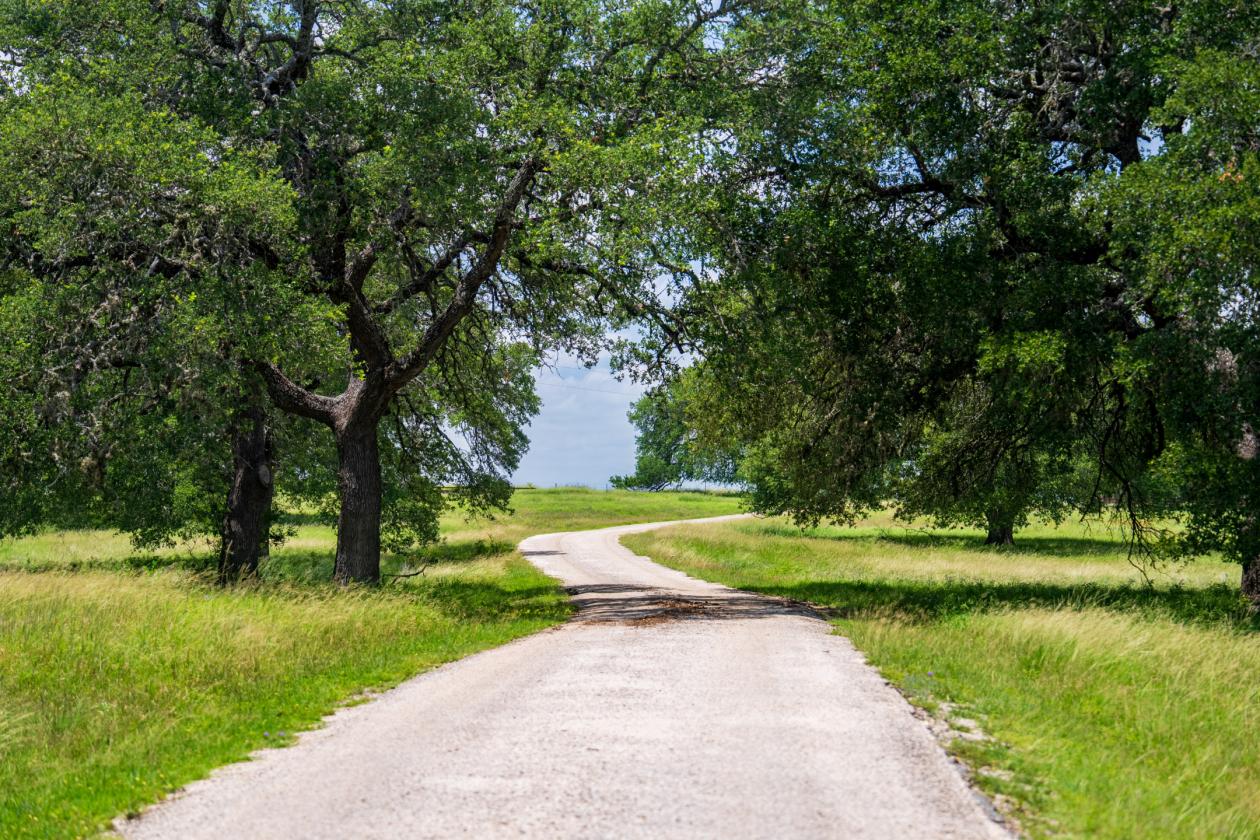 Equestrian Property On the Texas Wine Trail - photo 21