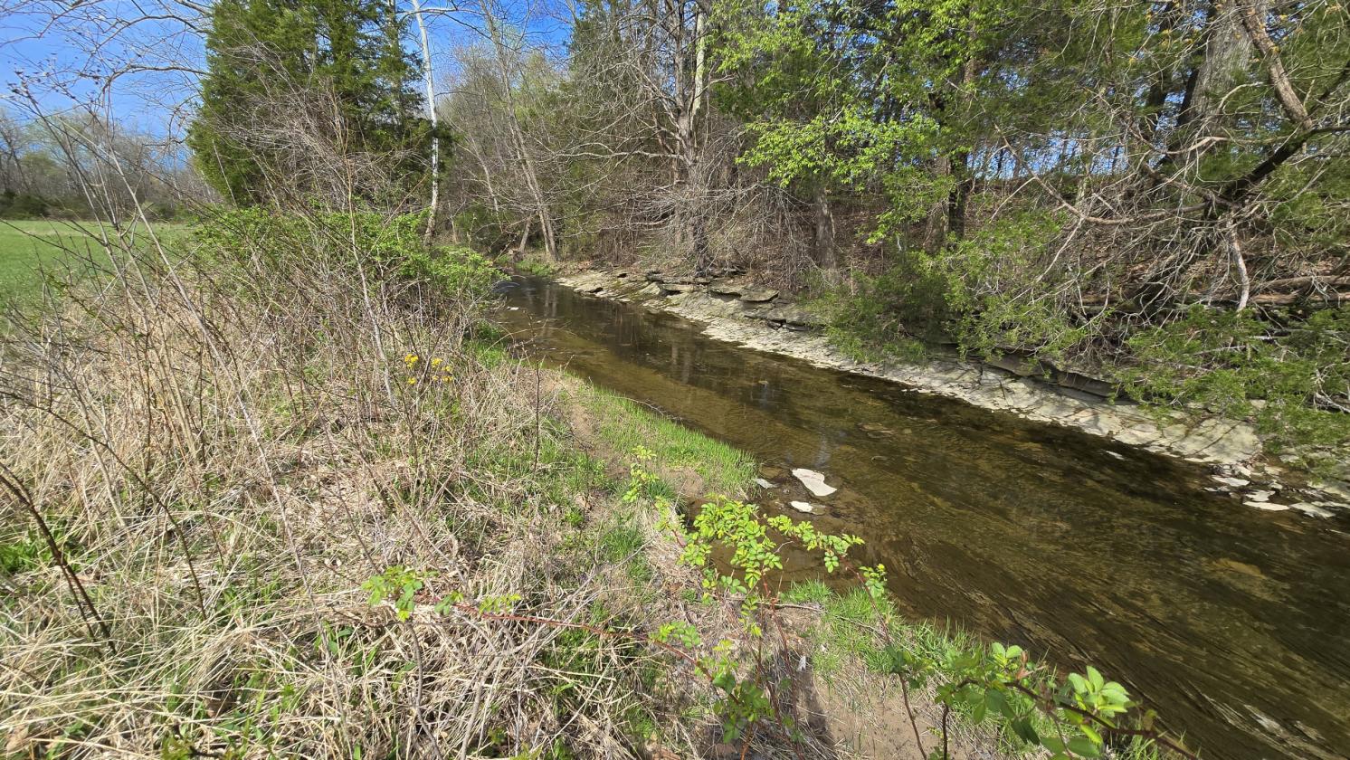 Large Farm Property With Water And Electric Onsite - photo 18