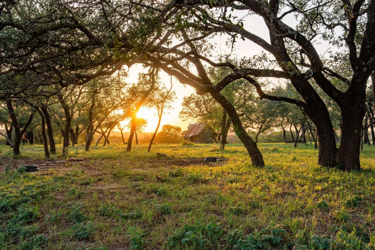 Hill Country Horse Ranch - photo 29