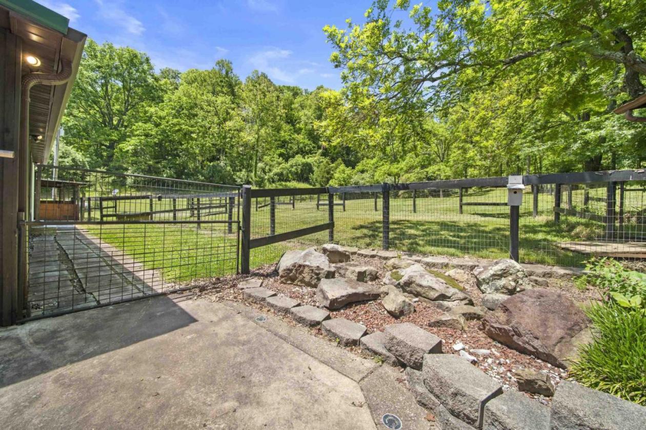 Quiet and Serene Rural Retreat - photo 23