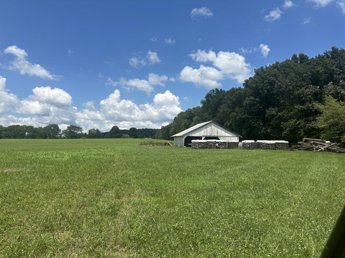 31 LEVEL ACRES w/HOME, BARN, 4 CAR GARAGE - photo 16