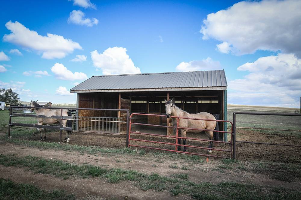 Horse Property for sale.