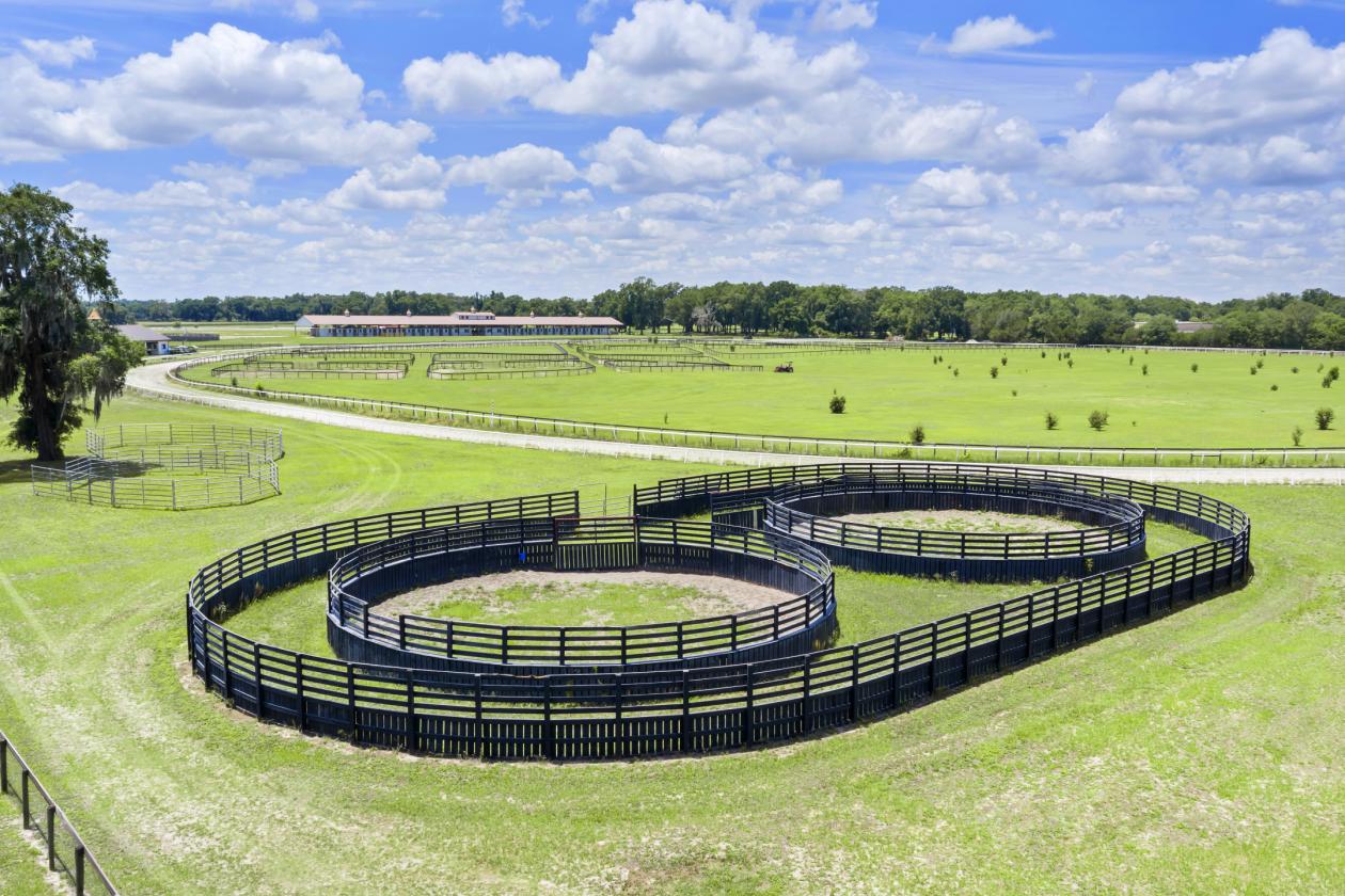 BELLEMONT FARM
YOUR PREMIER TRAINING CENTER - photo 12