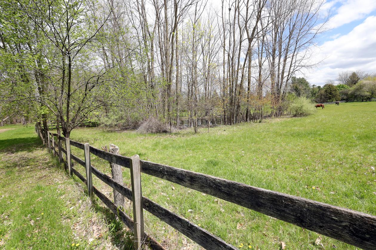 Perfect small horse farm with fenced pastures - photo 5