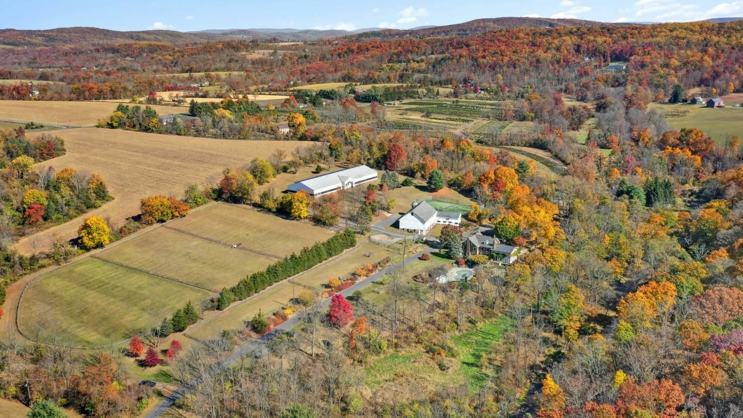 Expansive 58-Acre Property with Stable & Arena - photo 5