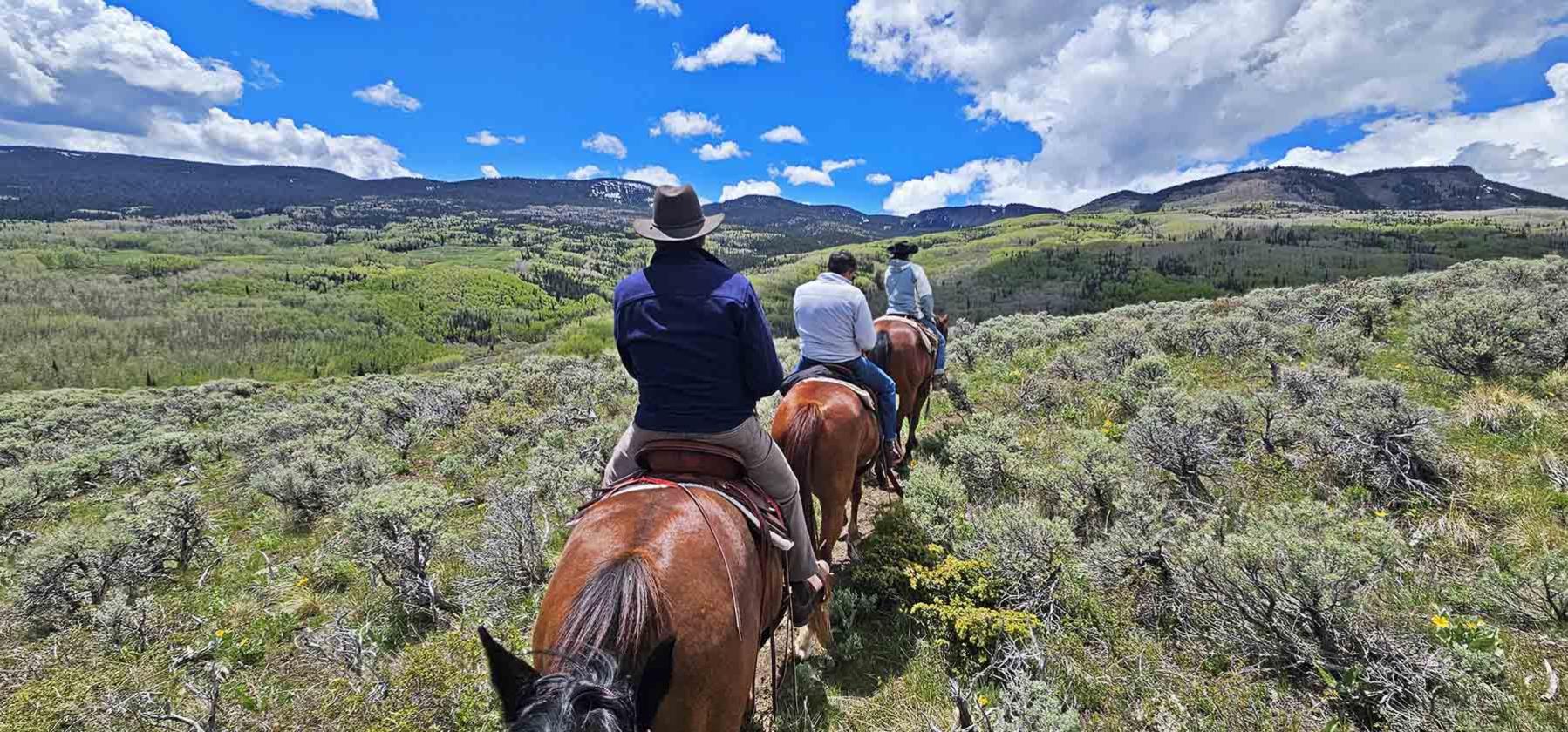 Ranch on Sweetwater - photo 15
