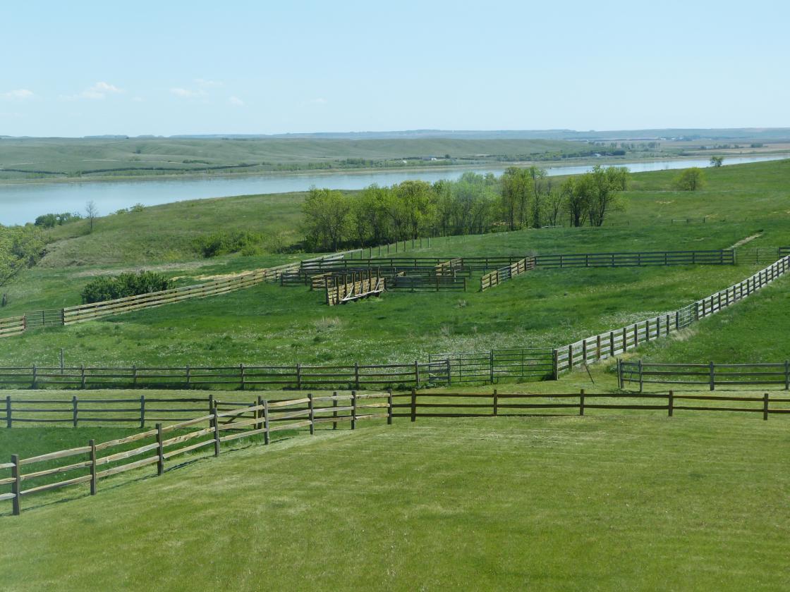 Horse Property on 40 Acres with Amazing Views - photo 30